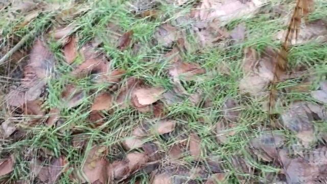 Котелок своими руками смотреть онлайн