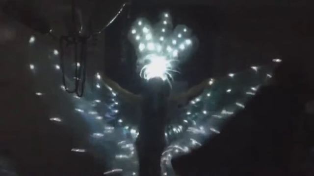 Светодиодные крылья и корона 8(925)303-51-36 смотреть онлайн