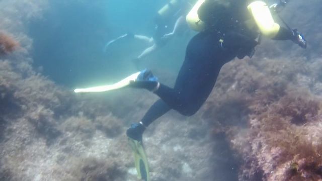 Грот Нептуна/Мыс крокодил смотреть онлайн