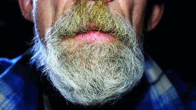 Древо жизни