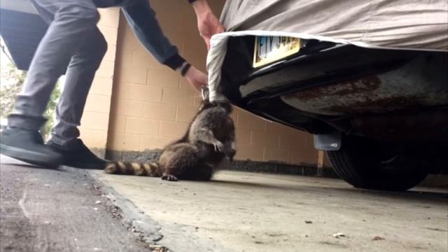 В гараже он увидел ЭТО и замер! Через мгновение он понял что нужно срочно действовать! смотреть онлайн