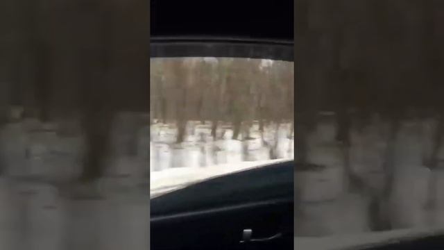 Лаго-Наки 2020 смотреть онлайн