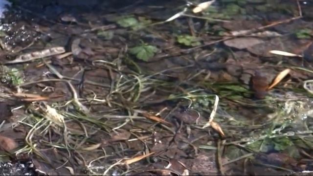 Привет Весна смотреть онлайн