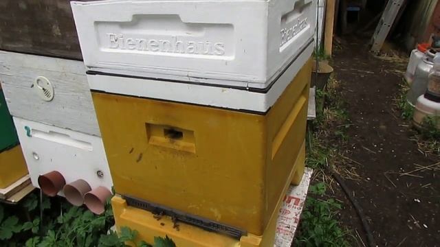 улей Нижегородец - добавляю изделия других производителей, чтобы было удобнее работать с ульем смотреть онлайн