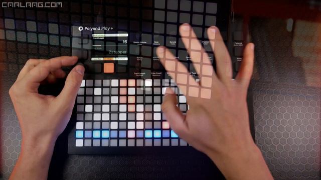 Polyend PLAY Plus Review And Impressions - IS IT FOR YOU?