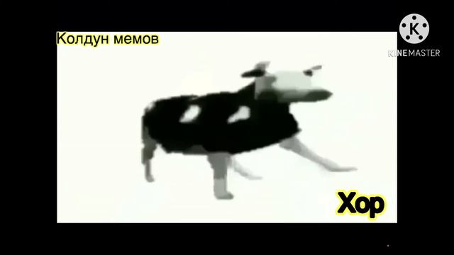 Корова танцует мем с разными эффектами смотреть онлайн