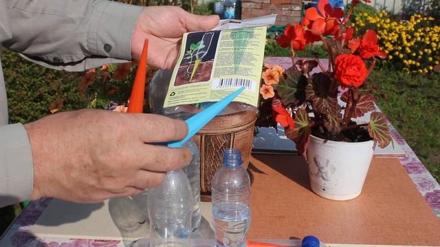 Полив Комнатных Растений