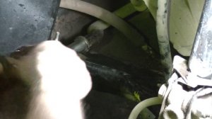 Renault Duster,  полиуретановые втулки стабилизатора плюсы или минусы.