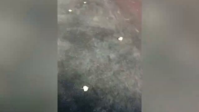 Очистка резиновой площадки от мха. Удаление мхов в Москве