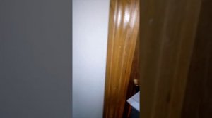 Нячанг 2019 обзор номера отель маджестик стар 4 *