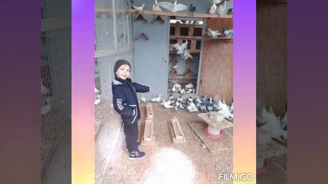 Всероссийская акция "День птиц". МДОБУ 25 "Колокольчик " смотреть онлайн