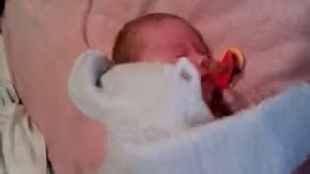 достать соску)))