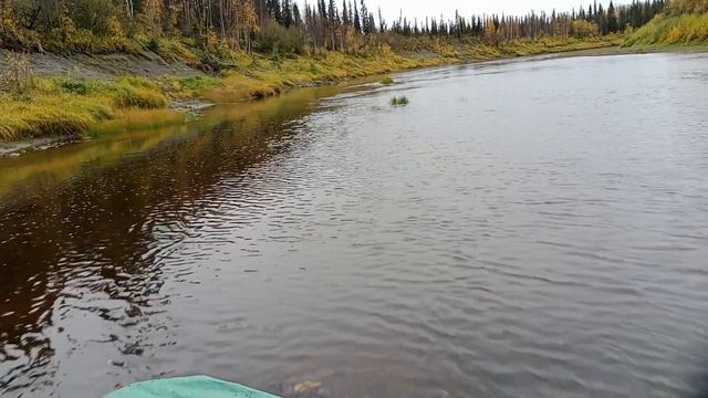 Глисс под водометом 20лс через 3 км перекатов против течения с грузом 400 кг. смотреть онлайн