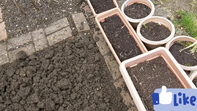 How to Prepare Your Garden Soil for Planting Vegetables UK shokher bagan 2020| কিভাবে বাগান মাটি চা смотреть онлайн