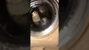 Шум мотора  Киа Рио 4