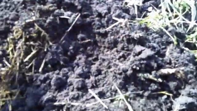 Зимний коп 2014!!!