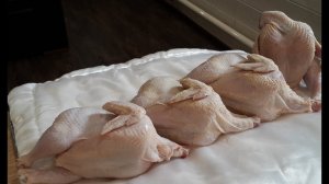 Опаливание бройлера