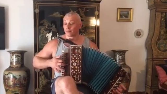 ###гармонь ######песниподгармонь### Вальс « Свет и тени» смотреть онлайн
