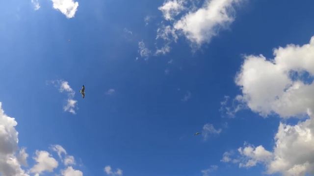 Полёт во сне смотреть онлайн