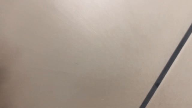 Новые запчасти!!!(animal ?) смотреть онлайн