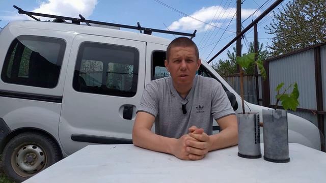 виноград в горшке смотреть онлайн