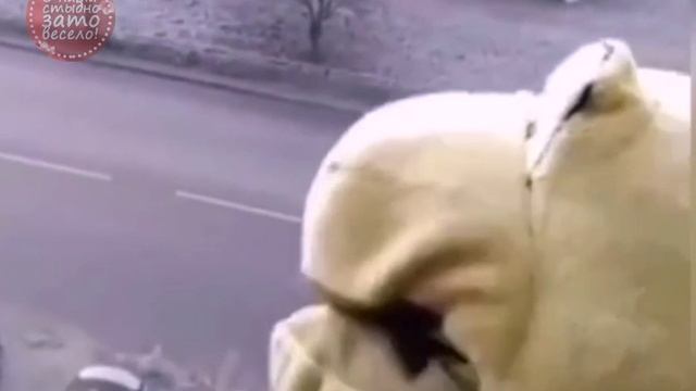 Ваня 30 годиков! )) смотреть онлайн