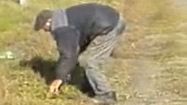 стиль пьяного журавля))) смотреть онлайн