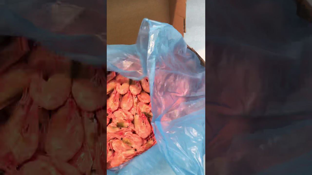 Креветка северная 90/120