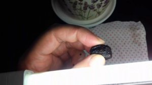 #68. КАК ВЫРАСТИТЬ ОЛИВКОВОЕ ДЕРЕВО В ДОМАШНИХ УСЛОВИЯХ / Наш опыт.