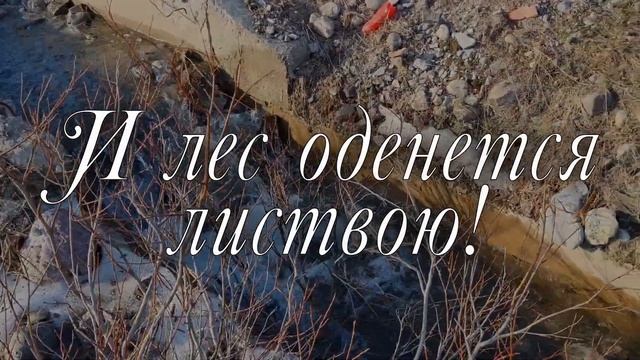 Алексей Плещеев "Весна" смотреть онлайн