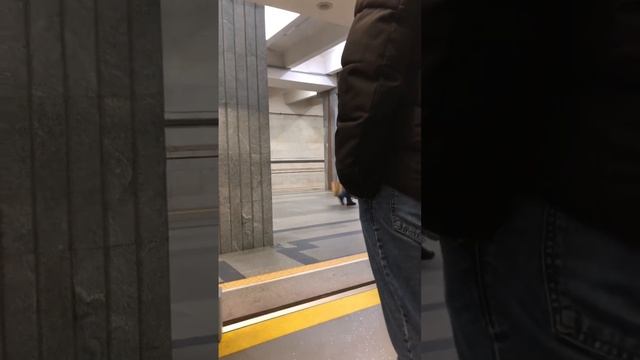 Закрытие дверей на Штадлере. Метро Минск. #электричка #изокнапоезда #метро #метроминск #подпишись смотреть онлайн