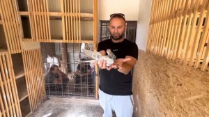 Турецкая Такла рассказ о мастях.  28 сентября 2022 г.