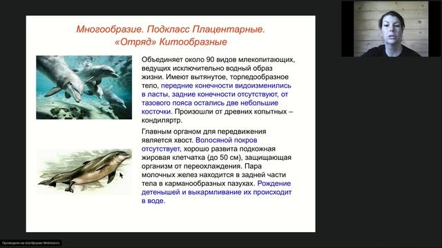Онлайн-школа СПбГУ 2021/2022. 8 класс. Биология. 21.05.2022 смотреть онлайн
