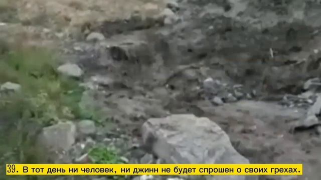 село Кеди Цумадинский район смотреть онлайн