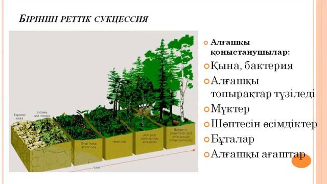 Биология. Сабақ4 Экологиялык сукцессия