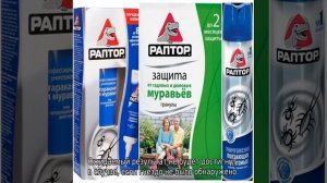 Как избавиться от муравьев в квартире