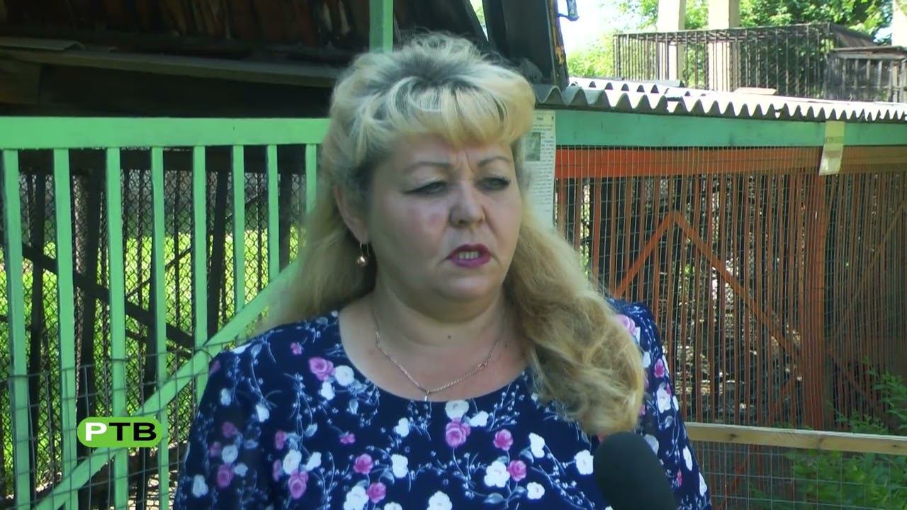 На экскурсию в зоосад смотреть онлайн