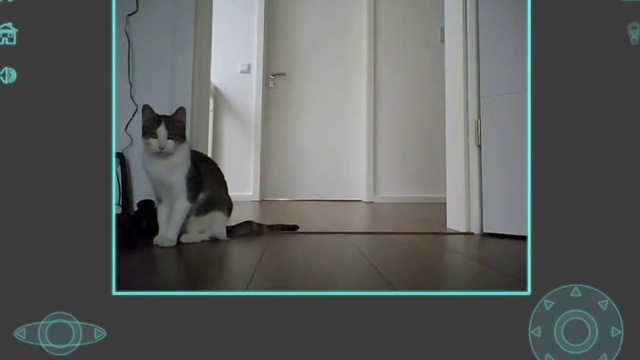 Робот Rovio Control HD смотреть онлайн