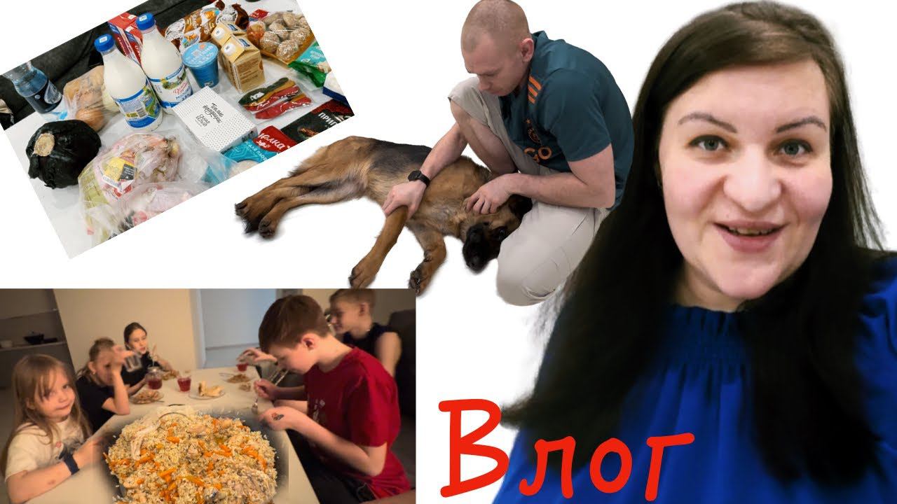 Что случилось с овчаркой Лазарет дома Аналитика ВАУ ❤️ Атмосферный ужин Влог смотреть онлайн