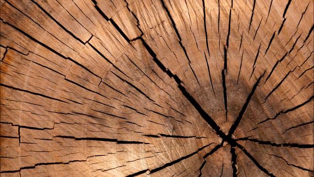 examen bimestral смотреть онлайн