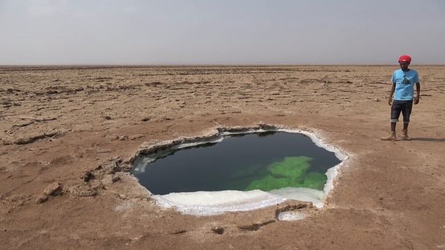 Эфиопский Йеллоустоун - африканское чудо природы. Как добывают соль в жару 50 градусов. смотреть онлайн