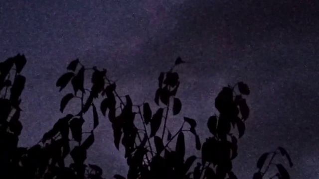 Чахлая последняя гроза 3 октября 2022 года. смотреть онлайн