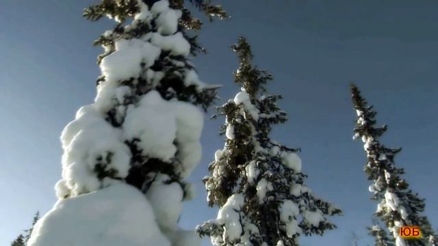 Чернуха 2014....Беломорск... смотреть онлайн