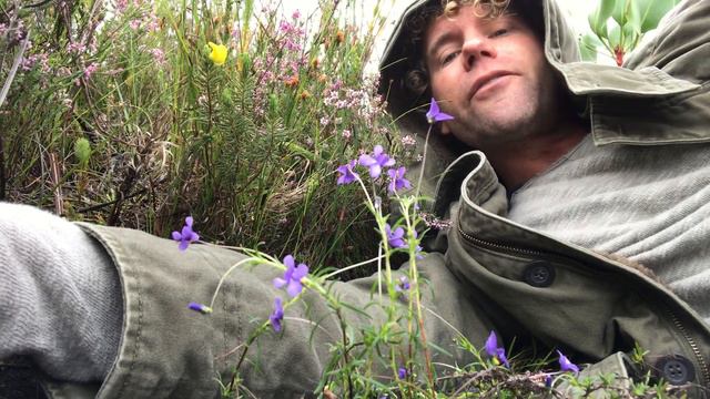 Leon Visits the Viola Decumbens (our local pansy) смотреть онлайн