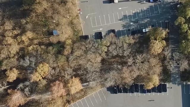 Аврора Авто, пробег в Белгород смотреть онлайн