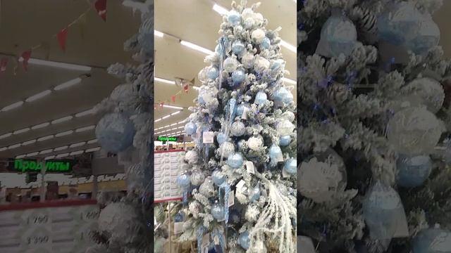 Новый год. Примеры дизайна заснеженных небольших ёлок в магазине Твой Дом. Берите на заметку смотреть онлайн