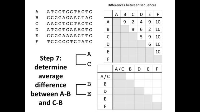 Creating a Phylogenetic Tree смотреть онлайн