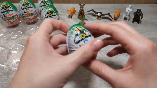 !!!KINDER NATOONS!!! ИНТЕРЕСНЫЕ ФАКТЫ О ЖИВОТНЫХ смотреть онлайн