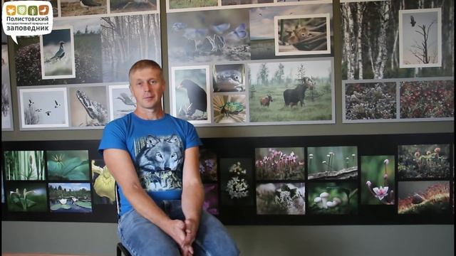 Галапов В.А. Насекомые-ксилофаги, Полистовский заповедник смотреть онлайн