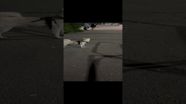 24-08-2024 смотреть онлайн